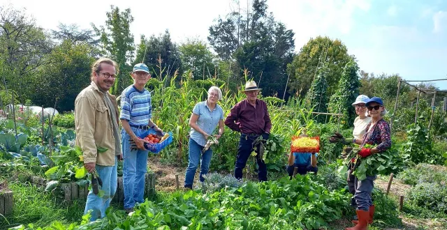 photo  samedi 20 septembre, la récolte était belle dans le jardin partagé.  &copy;  ouest-france 