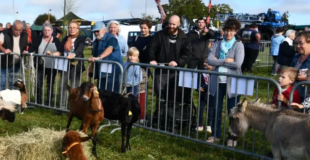photo  les animaux nains sont ceux qui ont eu le plus de succès.  &copy;  le maine libre 