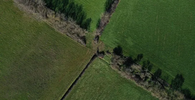 photo  l’exploitant agricole était poursuivi pour la destruction, en février 2021, d’une haie bocagère abritant des espèces protégées.  &copy;  archives co – josselin clair 