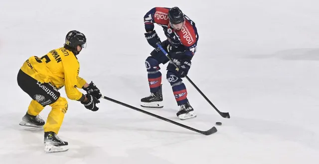 photo  halley et les ducs sont en tête de ligue magnus.  &copy;  sébastien aubinaud 