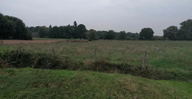 photo  vue à partir de la rue hector-berlioz, de la parcelle concernée par la nouvelle classification de 2 au à 1 au, ce qui la rendrait constructible.  &copy;  ouest-france 