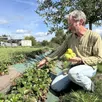 photo  dominique trichard, maraîcher à la chapelle-saint-aubin, cultive des fruits et légumes bio entre deux lignes de chemin de fer et à quelques encablures des magasins de la plus grande zone commerciale du mans. 