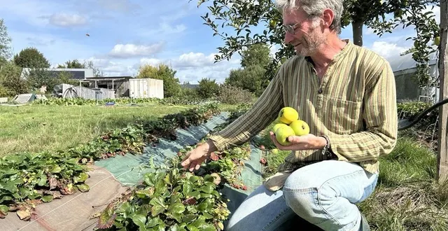 photo  dominique trichard, maraîcher à la chapelle-saint-aubin, cultive des fruits et légumes bio entre deux lignes de chemin de fer et à quelques encablures des magasins de la plus grande zone commerciale du mans.  &copy;  le maine libre 