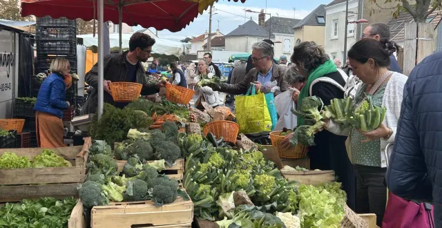 photo  aux alentours de 11 heures, il fallait s’armer de patience pour prendre son tour. aux primeurs, on s’arrache les fruits et légumes de saison.  &copy;  le maine libre 