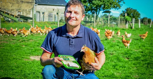 photo  rouez-en-champagne, jeudi 18 septembre 2025. les poulets bio prêts à cuire de benoît drouin sont élevés en plein air. à leur menu : herbe, insectes, vers et céréales bio.  &copy;  le maine libre - yvon loué 