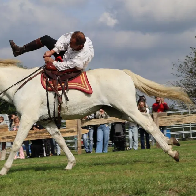 photo la compagnie caval production a présenté à plusieurs reprises un spectacle équestre au cœur du comice.  ©  ouest-france