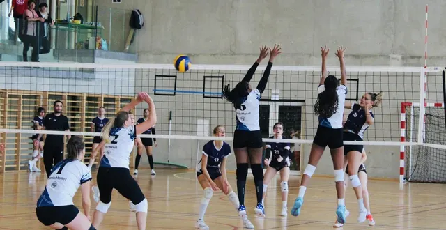 photo  les coulainaises se sont logiquement inclinées face à une équipe d’orléans plus solide.  &copy;  le maine libre 