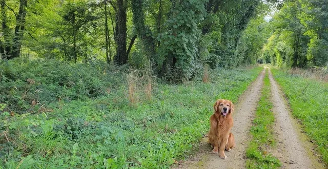 photo  la jonction se fera à cet endroit, lieu de promenade à la frontière entre les deux départements.   &copy;  le maine libre 