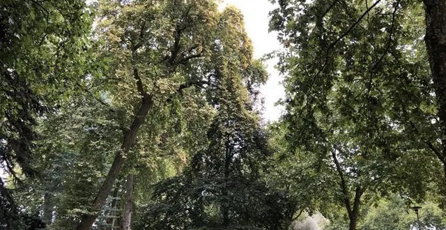 photo  le parc des carmes à la flèche (sarthe).  &copy;  ouest-france 