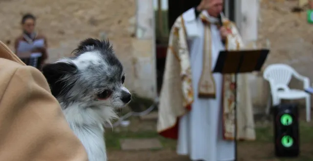 photo  pour la deuxième année consécutive, la paroisse saint-thomas de la flèche (sarthe) invite à faire venir bénir ses animaux, samedi 4 octobre 2025.  &copy;  ouest-france 