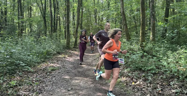 photo  des travaux vont perturber les circuits de trail en forêt d’écouves.  &copy;  archives ouest-france 