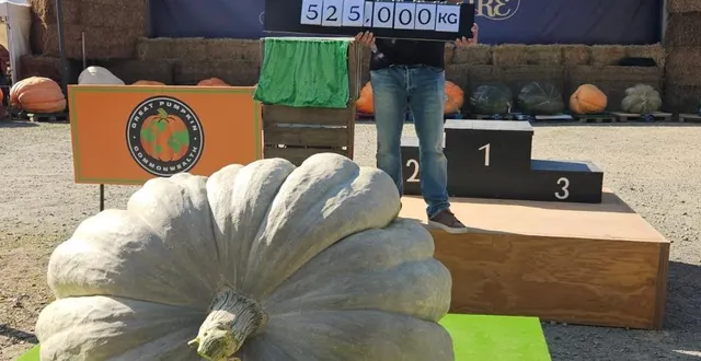 photo  mehdi daho et son fils et rapporté titres et records du 30e championnat de france des légumes géants  &copy;  mehdi daho 