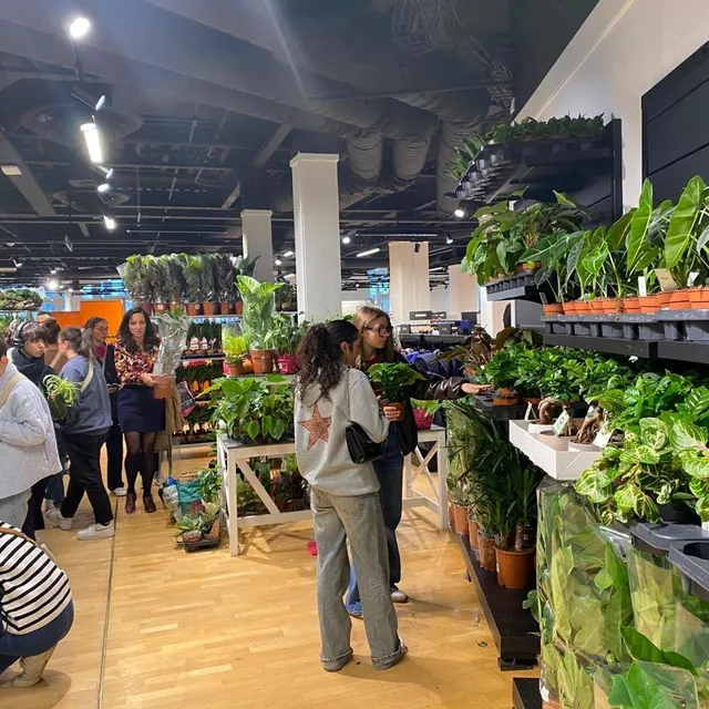 photo des milliers de plantes sont à vendre.  ©  ouest-france