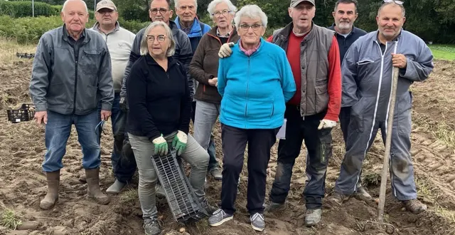 photo  dernière récolte de pommes de terre aux jardins du cœur à tiercé avec, au premier rang ginette touchet (en bleu) et à ses côtés bébert cadeau.  &copy;  ouest-france 
