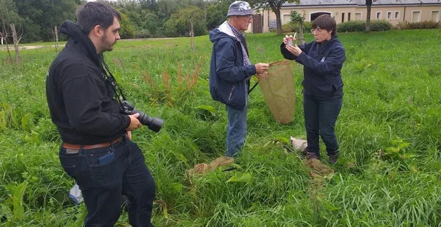 photo  gwenaëlle dufour, animatrice à la lpo sarthe, a animé une sortie « papillon » à écommoy.  &copy;  le maine libre 