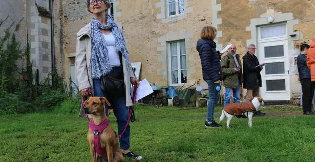 photo  béatrice est venue faire bénir sa chienne d’un an et demi, virgule, ce samedi 4 octobre 2025 dans le jardin du presbytère de l’église sainte-colombe, à la flèche (sarthe).  &copy;  ouest-france 
