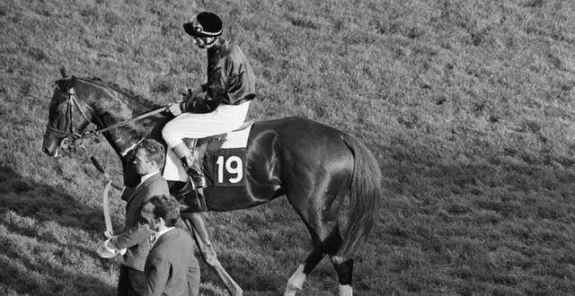 photo  sea bird, le grand champion, monté par pat glennon, avant le départ de l’arc de triomphe, en 1965. il sera vainqueur.  &copy;  ina via afp 