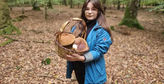 photo  sophie est passionnée par la cueillette de champignons. l’un de ses endroits favoris est la forêt de perseigne, dans le nord de la sarthe.  &copy;  le maine libre 