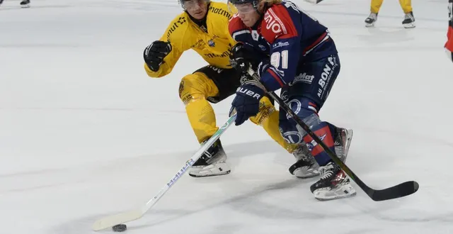 photo  angers, iceparc, 23 septembre 2025. orrin centazzo et les ducs semblent inarrêtables.  &copy;  archives co-jérôme hurstel 