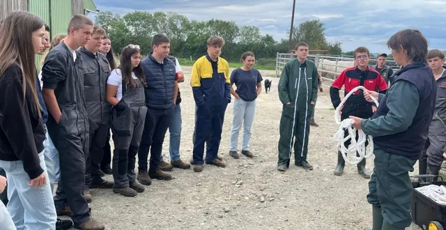 photo  dans le cadre de la sécurité au travail, les élèves de seconde assistent à une démonstration de contention des animaux en sécurité.  &copy;  le maine libre 