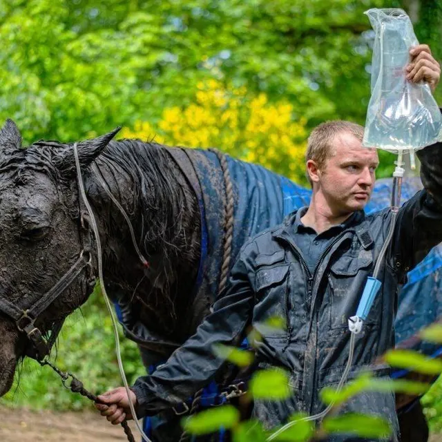 photo en 2024, le service départemental d’incendie et de secours de la sarthe a effectué 271 interventions impliquant des animaux.  ©  sdis72