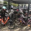 photo  il est relativement facile de stationner son vélo au mans. principales difficultés pointées par l’enquête : la gare (photo) et le centre-ville, en raison du nombre croissant de vélos électriques en location. 