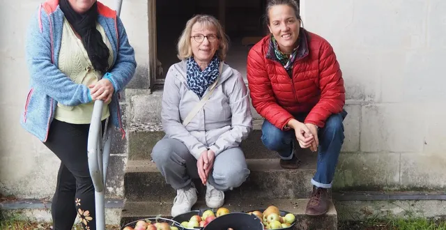 photo  vendredi 26 septembre, marion, du jardin des possible de l’aicla et son équipe de bénévoles ont cueilli une belle quantité de pommes et de noix chez un habitant d’andard. cette récolte sera distribuée aux bénéficiaires de la banque alimentaire de loire-authion.  &copy;  co 