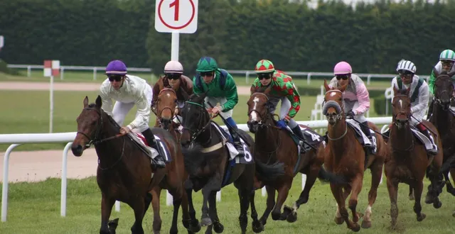 photo  plus de cent engagés sont attendus pour les huit courses de plat, ce mercredi, à argentan.  &copy;  archives ouest-france 