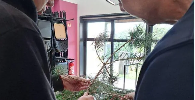 photo  des conseils précieux seront donnés aux particuliers lors de l’exposition.  &copy;  le maine libre 