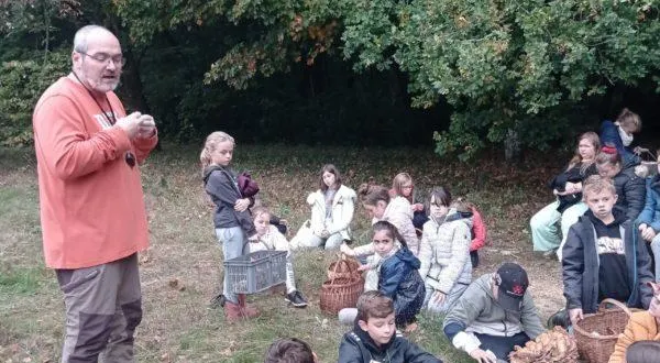 photo  lors d’un précédent ramassage des champignons par les écoliers avec françois hairie, mycologue, en forêt d’andaine.  &copy;  ouest-france 