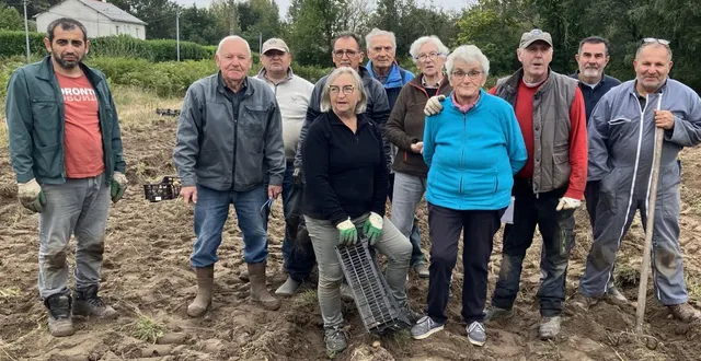 photo  les ramasseurs de pommes de terre.  &copy;  co 