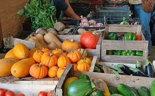 photo  ce sera le moment de faire le plein de produits locaux.  &copy;  mairie de teloché 