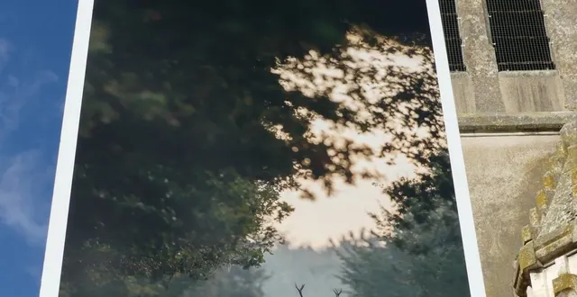 photo  de magnifiques photos animalières sont à découvrir à vibraye.  &copy;  le maine libre 