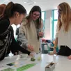 photo des lycéens (à droite) expliquent aux collégiens de trun comment faire l’expérience sur la photosynthèse, en observant un macérat d’épinards à travers un spectromètre : pourquoi la chlorophylle est-elle verte ?
