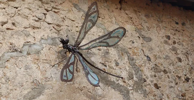 photo  une libellule sculptée par cédric doret et agrémentée de verre par verr i kiti, orne le mur d’une maison d’asnières-sur-vègre ; cette sculpture fait partie du bestiaire de la vègre, objet d’une visite guidée dans le cadre des dimanches de caractère.  &copy;  ouest-france 