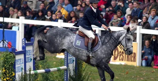 photo  le couple galan de sauvagère - nicolas touzaint jouissait d’une grande cote de popularité née notamment du double sacre au mondial du lion, en 2000 et 2001.  &copy;  archives ouest-france 