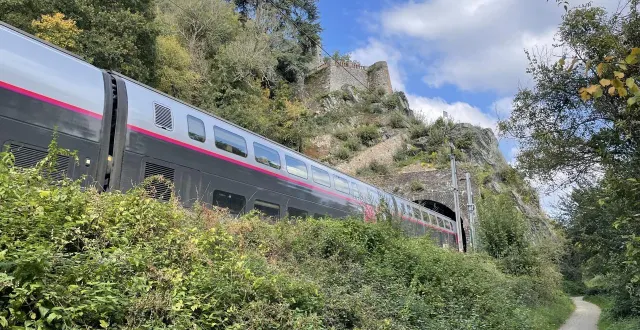 photo  tout au long des voies ferrées entre mauves-sur-loire et le cellier, en loire-atlantique, des filets empêchent les chutes de pierres sur les rails. en cas de détachement d’un rocher, tous les feux passent au rouge et les trains sont contraints de s’arrêter.  &copy;  ouest-france 