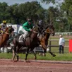 photo deux courses au trot monté sont au programme de cette réunion sur l’hippodrome du mans, samedi 11 octobre 2025 à partir de 14 h.