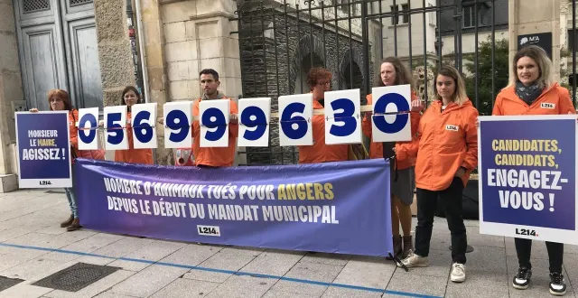 photo  une petite dizaine de membres de l’association l214 se sont réunis dans le centre-ville d’angers pour notamment réclamer plus de repas végétariens et végétaliens dans les cantines.  &copy;  ouest-france 