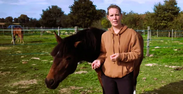 photo  maud pichot chouchoute héra dance, une ponette new forest qui a brillé aux derniers championnats de france (poney élite) de lamotte-beuvron.  &copy;  ouest-france 