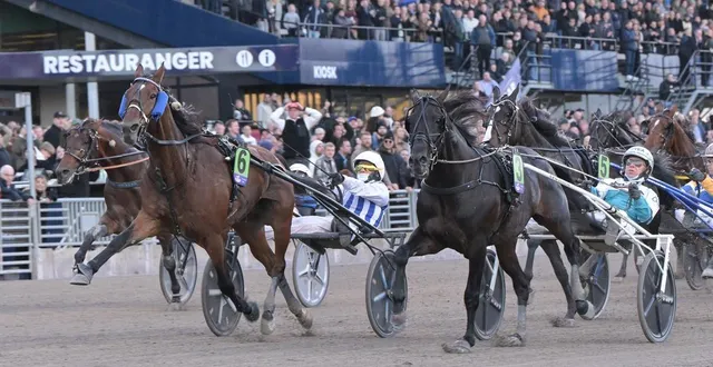 photo  inexess bleu, drivé par le sarthois alexandre abrivard, s’est imposé en suède sur l’hippodrome de solvalla lors de la finale de l’uet elite, samedi 11 octobre 2025.  &copy;  lars jakobsson/tr bild 