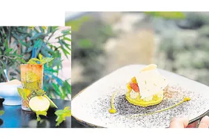 les incontournables de lou