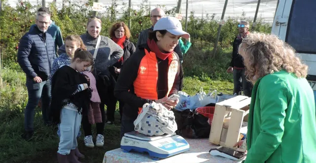 photo  les familles sont venues faire leur réserve de pommes.  &copy;  co 