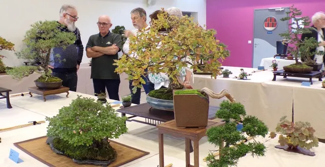 photo  des arbres aussi divers que variés tant dans leurs essences que leur présentation ont séduit les curieux.  &copy;  le maine libre 