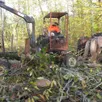 photo comment débarder ? la réponse se fera en démonstration à l’arche de la nature, dimanche 19 octobre 2025, à l’occasion de la fête de la forêt et de la randonnée.