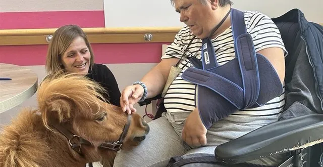 photo  pour la seconde fois, ninja, poney miniature et hélène perthué, gérante de la ferme du fan sont venus rendre visite aux résidents de l’ehpad marie-de-la-ferre.  &copy;  ouest-france 