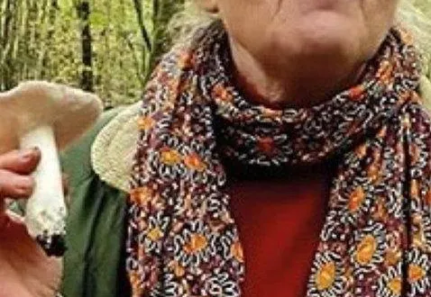 photo  mireille rosenberger guidera la reconnaissance des champignons autour de boiscordes.  &copy;  ouest-france 