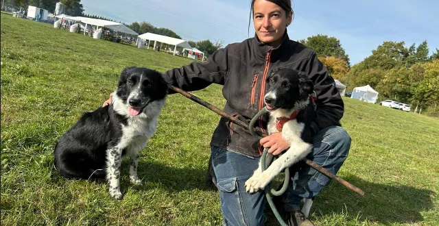 photo  « le border est un chien énergique qui a besoin d’être au grand air et auprès de son maître », témoigne albane da silva, au concours national des chiens de troupeau, ce week-end, à saint-célerin (sarthe).  &copy;  ouest-france 