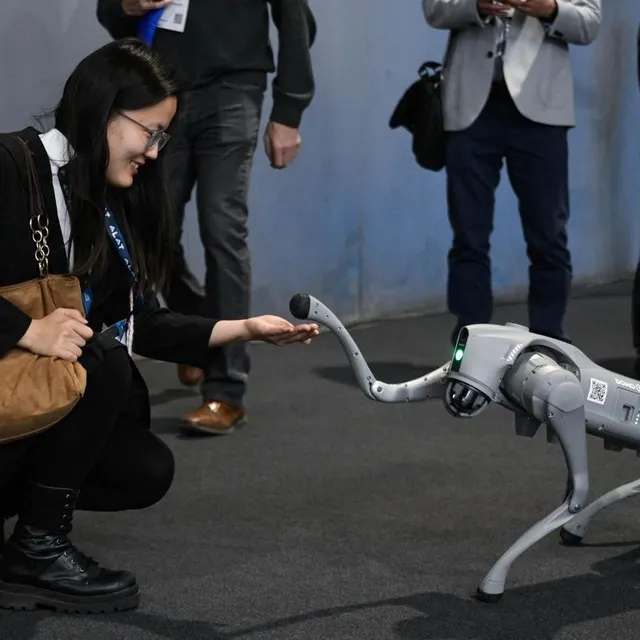 photo l’intelligence artificielle est utilisée par de nombreux développeurs dans le monde.  ©  afp