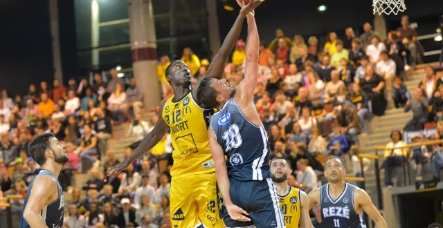 photo  niort, l’acclameur, samedi soir. à l’instar d’un luc louves muselé par la défense rezéenne, les ducks n’ont jamais trouvé la solution.  &copy;  co – stéphane seguinard 